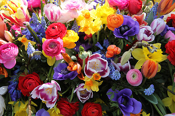 Image showing Mixed Spring Flowers