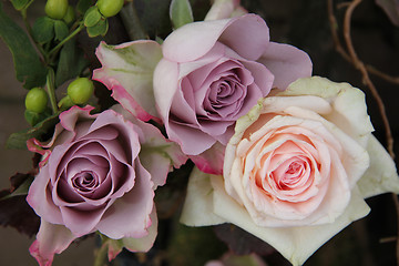 Image showing big pink and purple roses