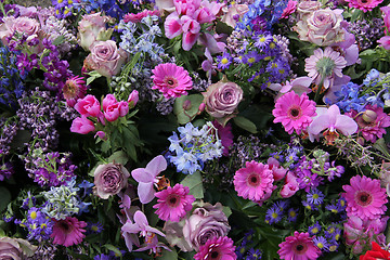 Image showing Floral arrangement in pink and blue