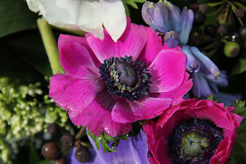 Image showing Anemones in bridal arrangement