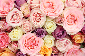 Image showing Mixed pastel roses