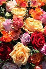 Image showing Colorful rose bouquet