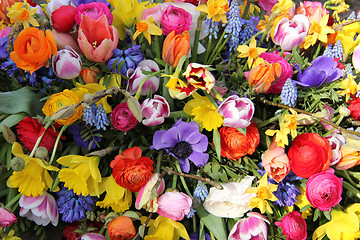 Image showing Mixed Spring Flowers