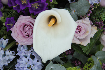 Image showing Calla lily in a blue purple arrangement