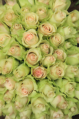 Image showing Pale pink roses in a wedding arrangement