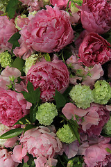 Image showing Peonies in a bridal arrangement