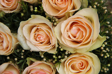 Image showing pale pink wedding roses