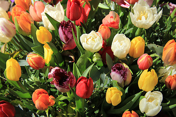 Image showing Mixed tulip bouquet