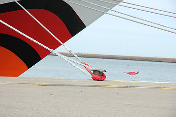 Image showing Detail of a docked cruise ship