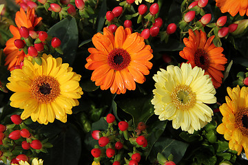 Image showing yellow and orange gerberas