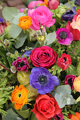 Image showing Wildflower arrangement in bright colors