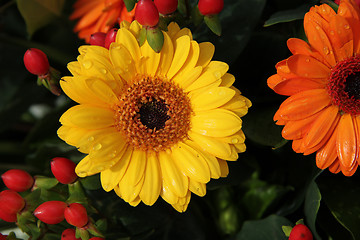 Image showing yellow and orange gerberas