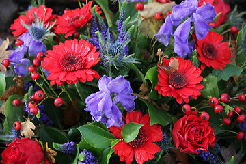 Image showing Flower arrangement in red and blue