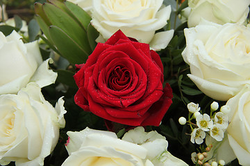 Image showing Red rose in bridal arrangement