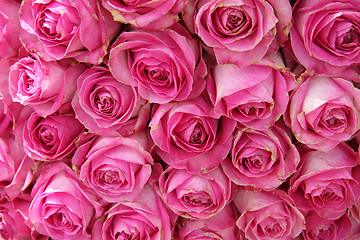 Image showing big pink roses in a wedding centerpiece