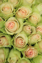 Image showing Pale pink roses in a wedding arrangement