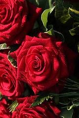 Image showing Wet red roses