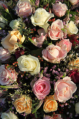 Image showing Wedding Flowers: Different shades of pink roses