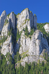 Image showing Rocks and trees