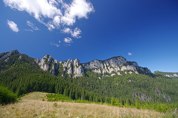 Image showing Summer mountain view