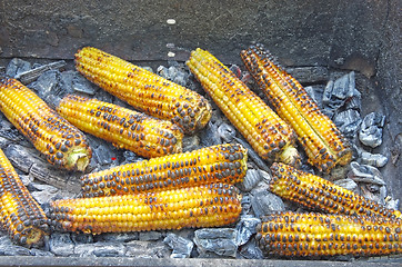 Image showing Roasted corn