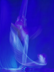 Image showing 	Blue dance