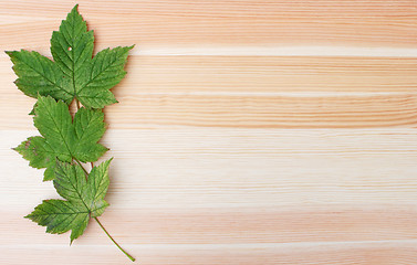 Image showing Three green sycamore leaves on a wooden background