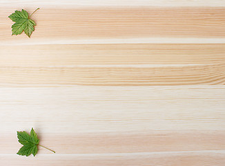 Image showing Two green sycamore leaves on a wood background