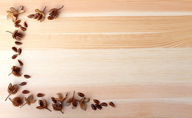 Image showing Beech nuts and empty nut shells, half border on wood