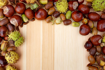 Image showing Border of natural fall material - acorns, horse chestnuts, beech