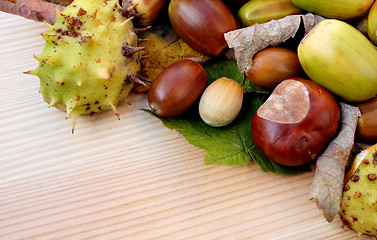 Image showing Cobnuts, horse chestnuts, acorns and autumn leaves diagonal bord