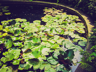 Image showing Retro look Water lily Nimphaea