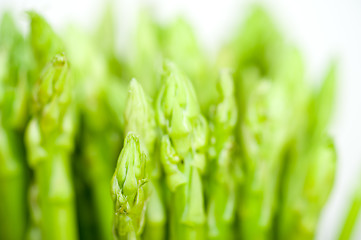 Image showing fresh asparagus over white