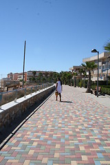 Image showing Promenade Mil Palmeras, Costa Blanca, Spain