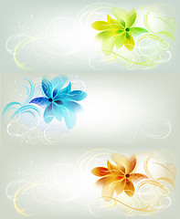 Image showing Floral Backgrounds