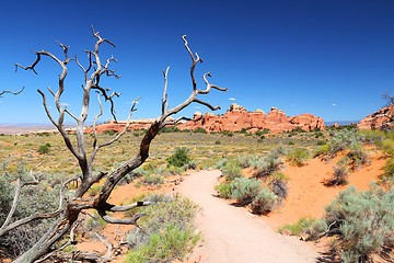 Image showing Arches National Park