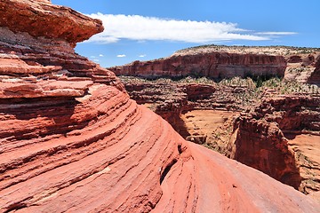 Image showing Canyonlands