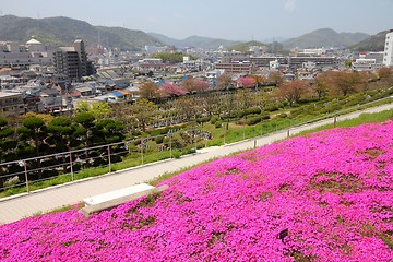 Image showing Japan - Himeji
