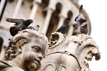 Image showing Group of pigeons on the statue 