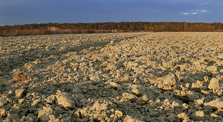 Image showing Cultivated field 