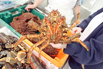 Image showing Crab