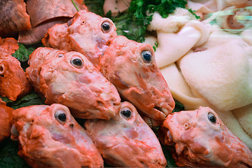Image showing Sheep's head on the market