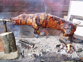 Image showing Grilled suckling pigs