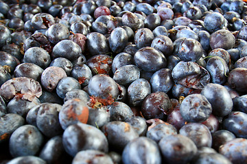 Image showing Plums 