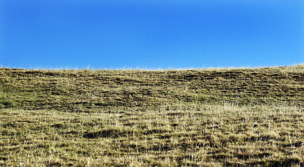 Image showing Mountain meadow 