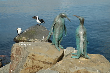 Image showing Birds of a feather