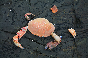 Image showing 	Hacked red crab