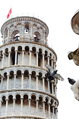 Image showing Pigeon lands on the statue with Pisa tower
