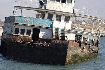 Image showing 	Abandoned ship with sea lions#1