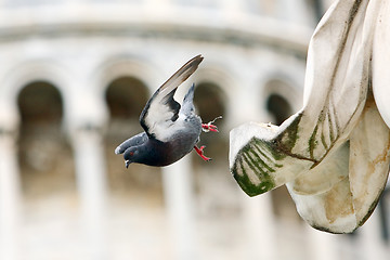 Image showing Dove takes off from the statue 